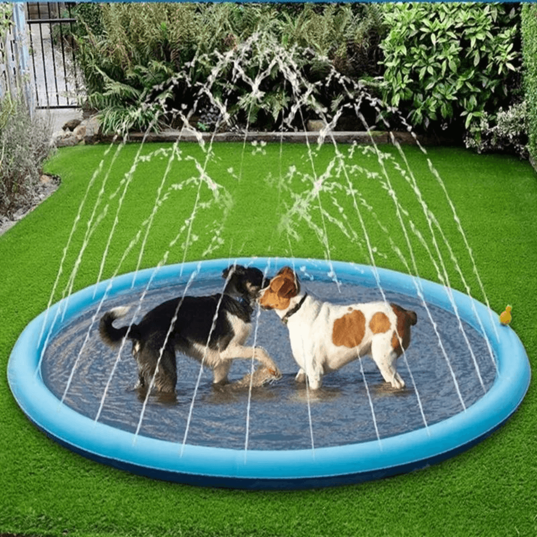 Paw Portal Köpek Oyun Havuzu - MeanYou