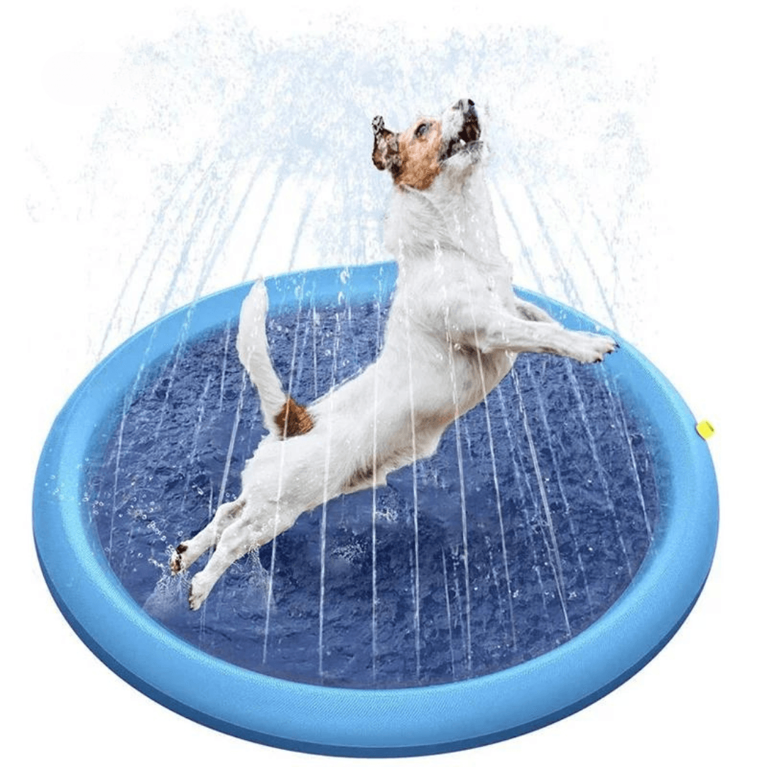 Paw Portal Köpek Oyun Havuzu - MeanYou