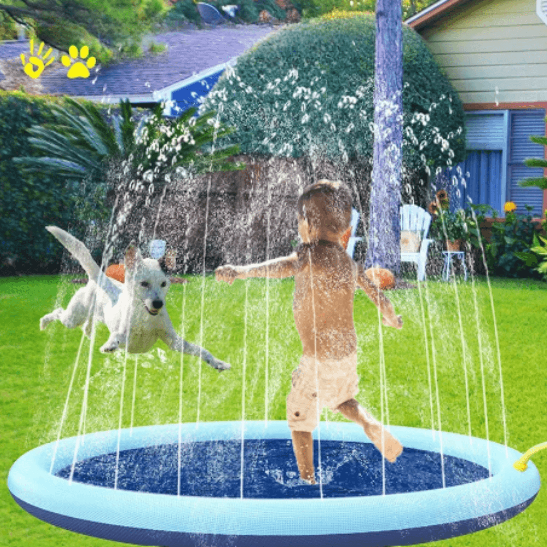 Paw Portal Köpek Oyun Havuzu - MeanYou