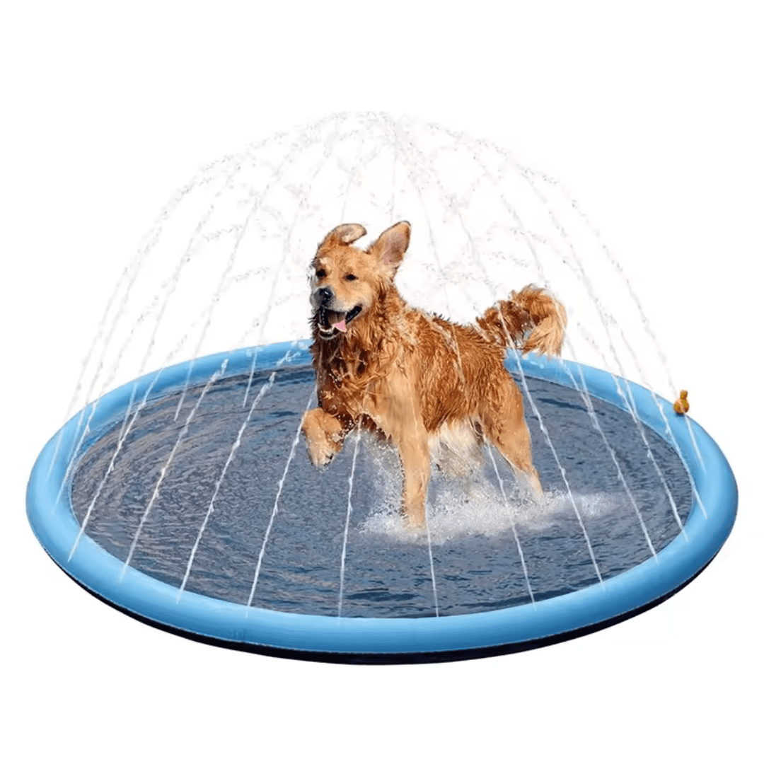 Paw Portal Köpek Oyun Havuzu - MeanYou