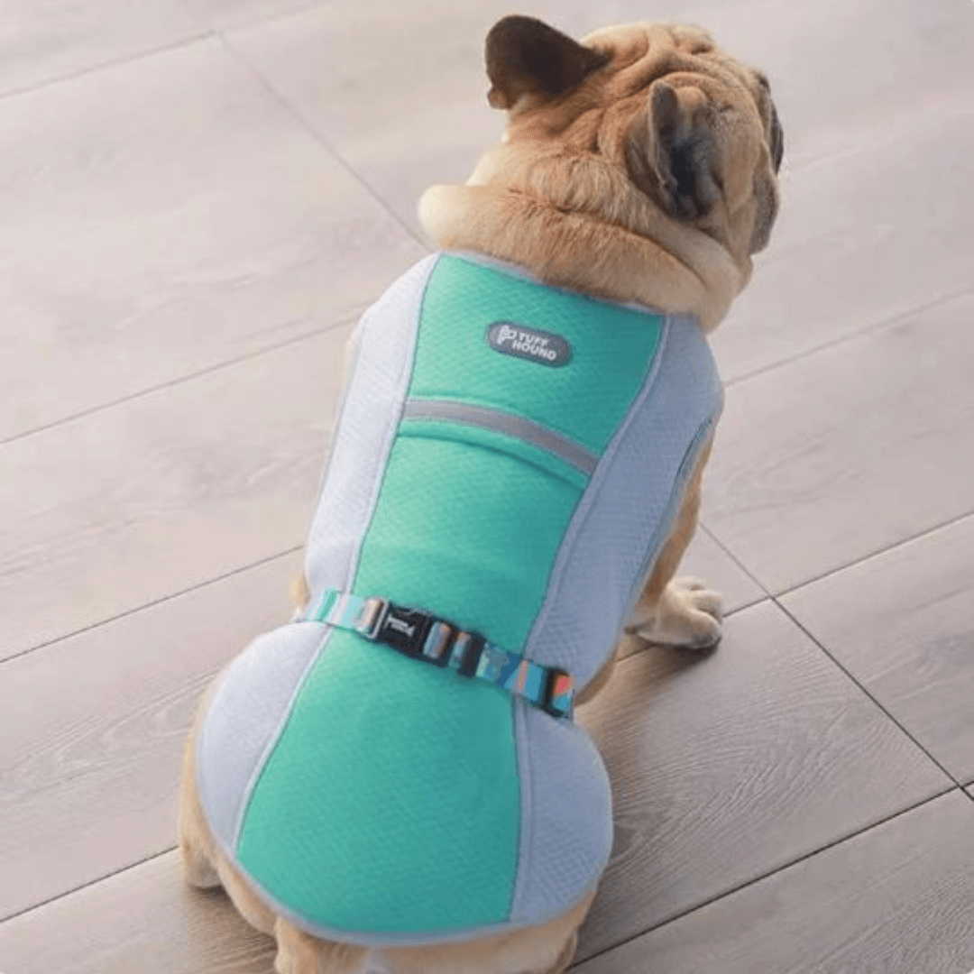 Paw Portal Köpekler İçin Soğutucu Yelek - MeanYou