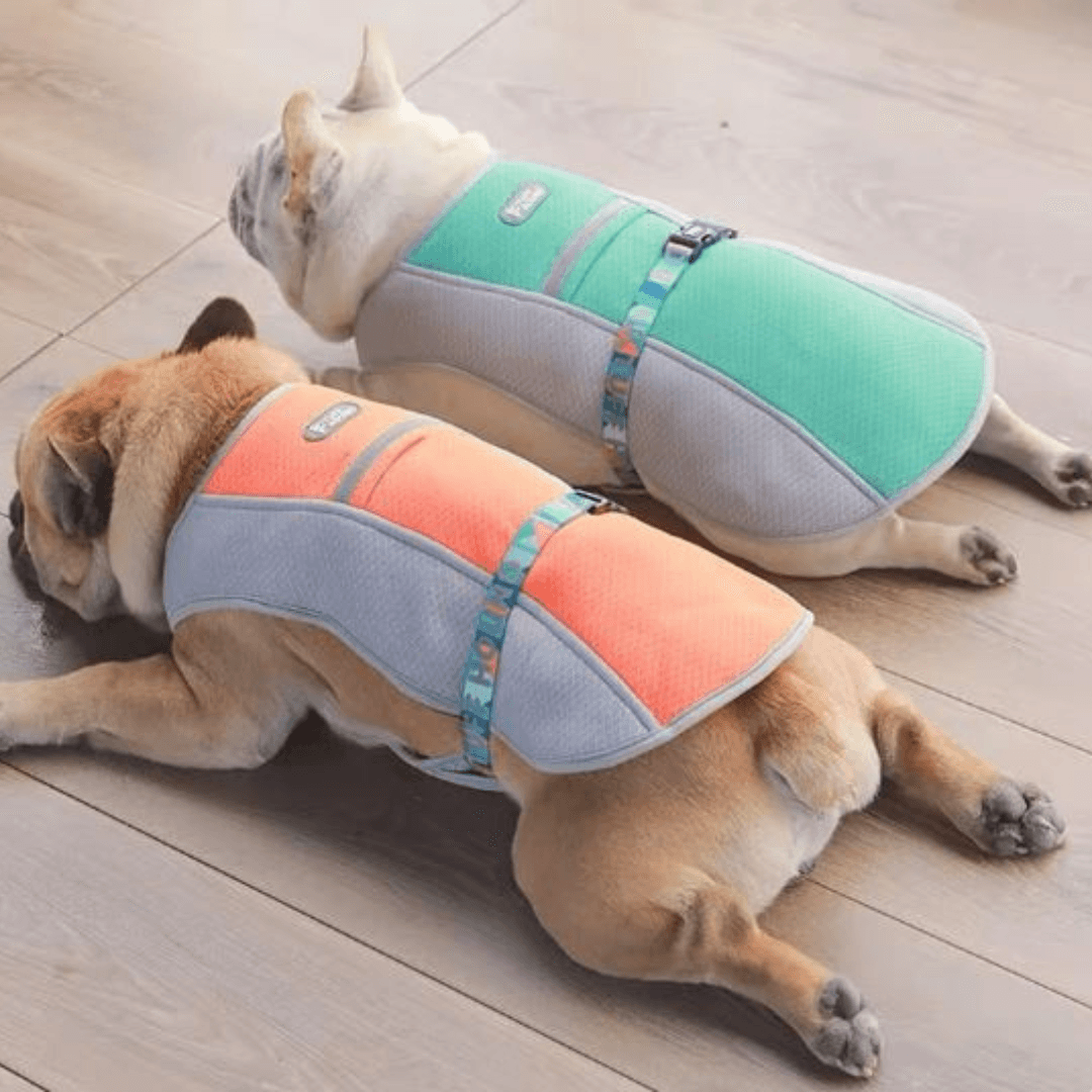 Paw Portal Köpekler İçin Soğutucu Yelek - MeanYou