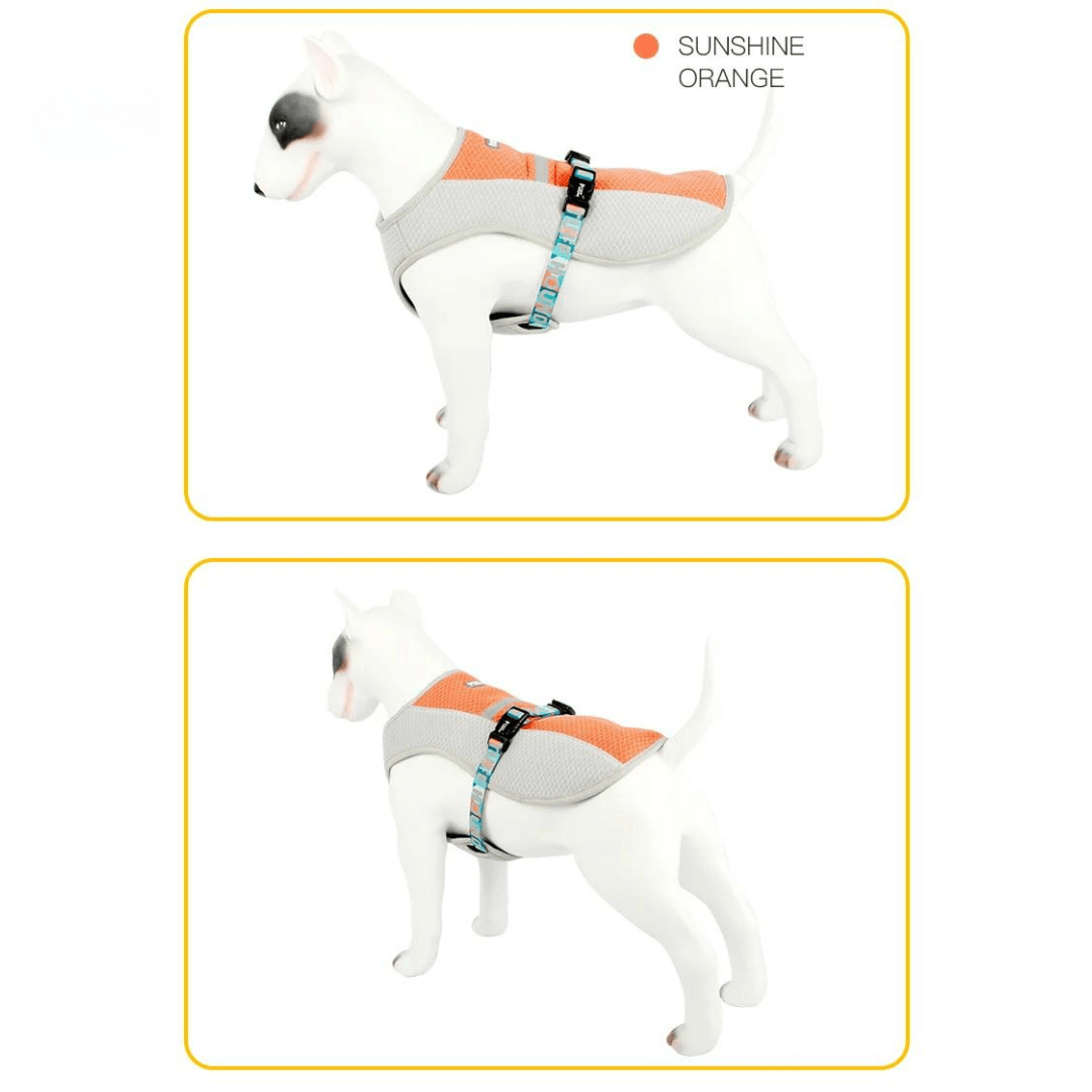 Paw Portal Köpekler İçin Soğutucu Yelek - MeanYou