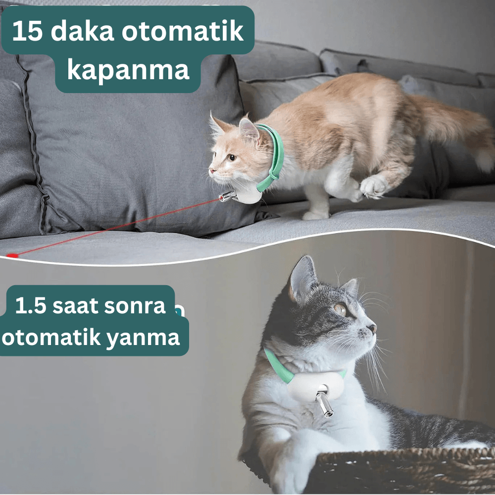 Paw Portal LED Işıklı Otomatik Kedi Oyuncağı, Lazer Işık Başlığı - MeanYou