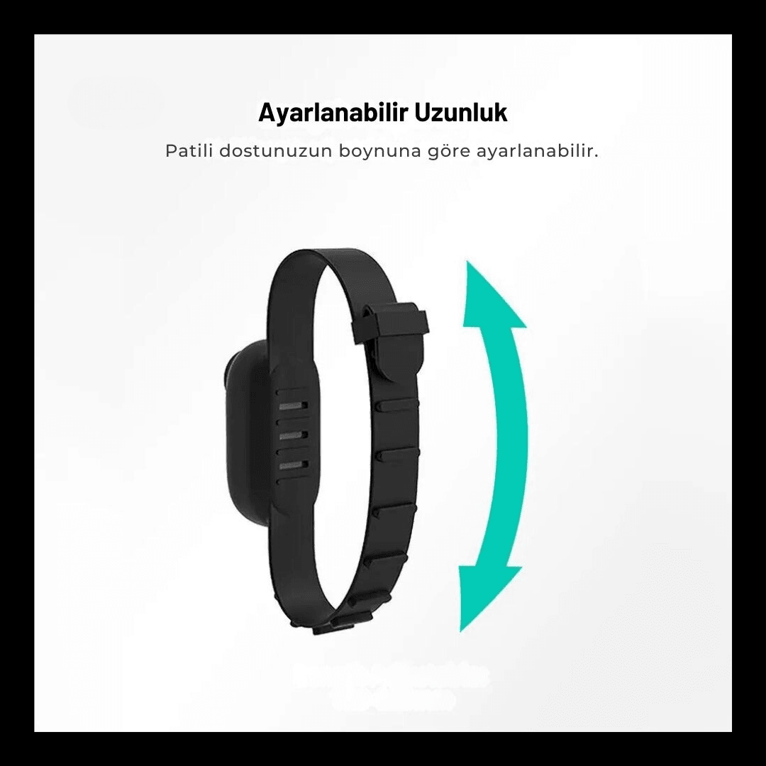 Paw Portal Premium Edition Kedi Köpek Tasma Kamerası - MeanYou