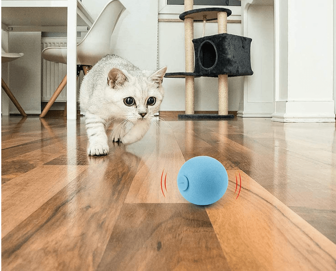 Paw Portal Sesli Top Kedi Oyuncağı - MeanYou