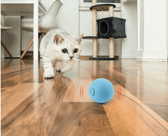 Paw Portal Sesli Top Kedi Oyuncağı - MeanYou
