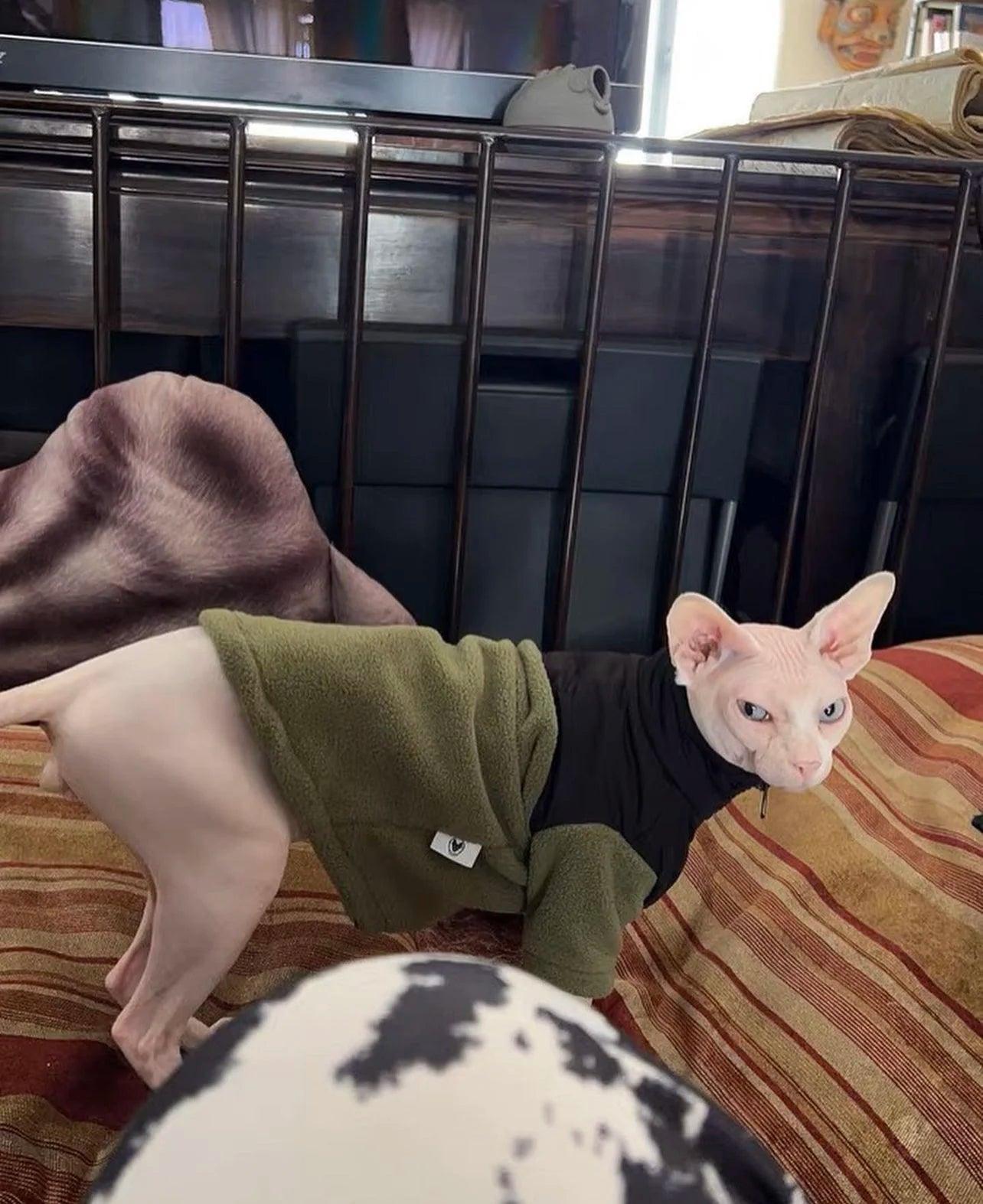 Paw Portal The Cat Face Polar Ceket Kedi Kıyafeti - MeanYou