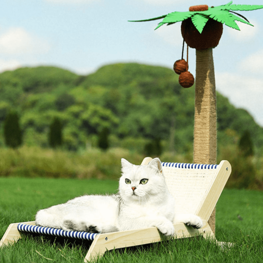 Paw Portal Tropikal Kedi Şezlongu - MeanYou