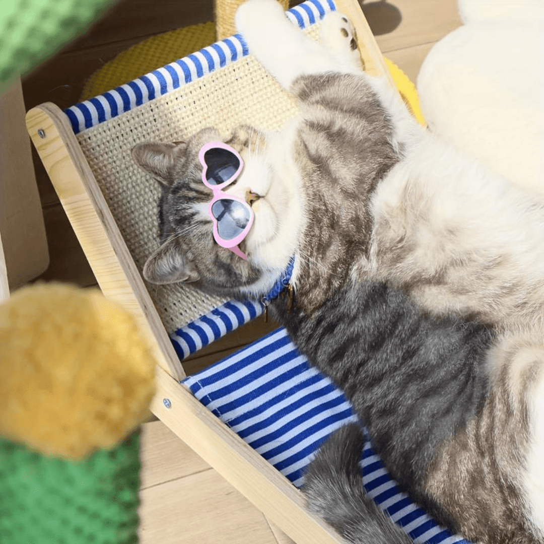 Paw Portal Tropikal Kedi Şezlongu - MeanYou