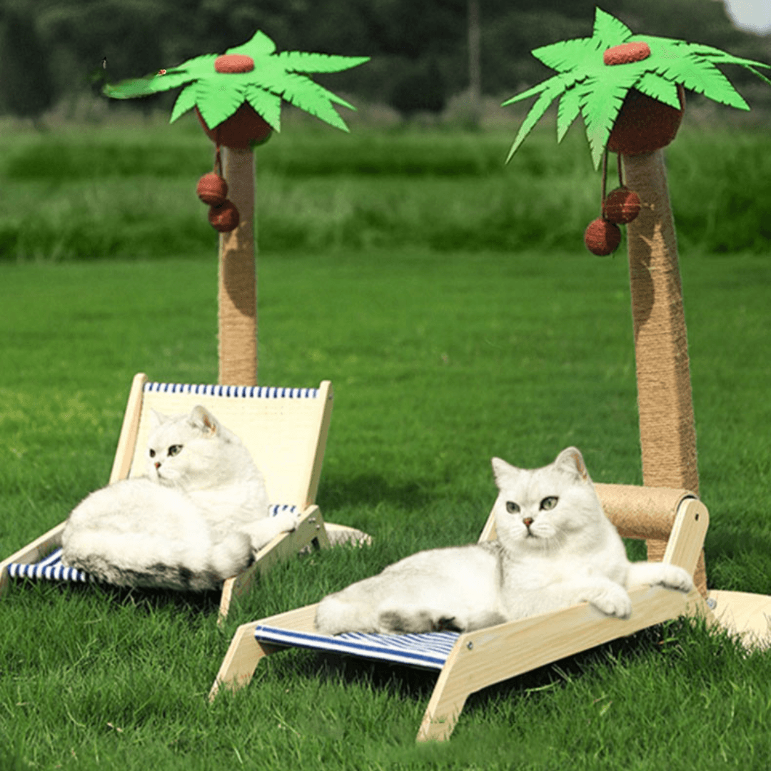 Paw Portal Tropikal Kedi Şezlongu - MeanYou