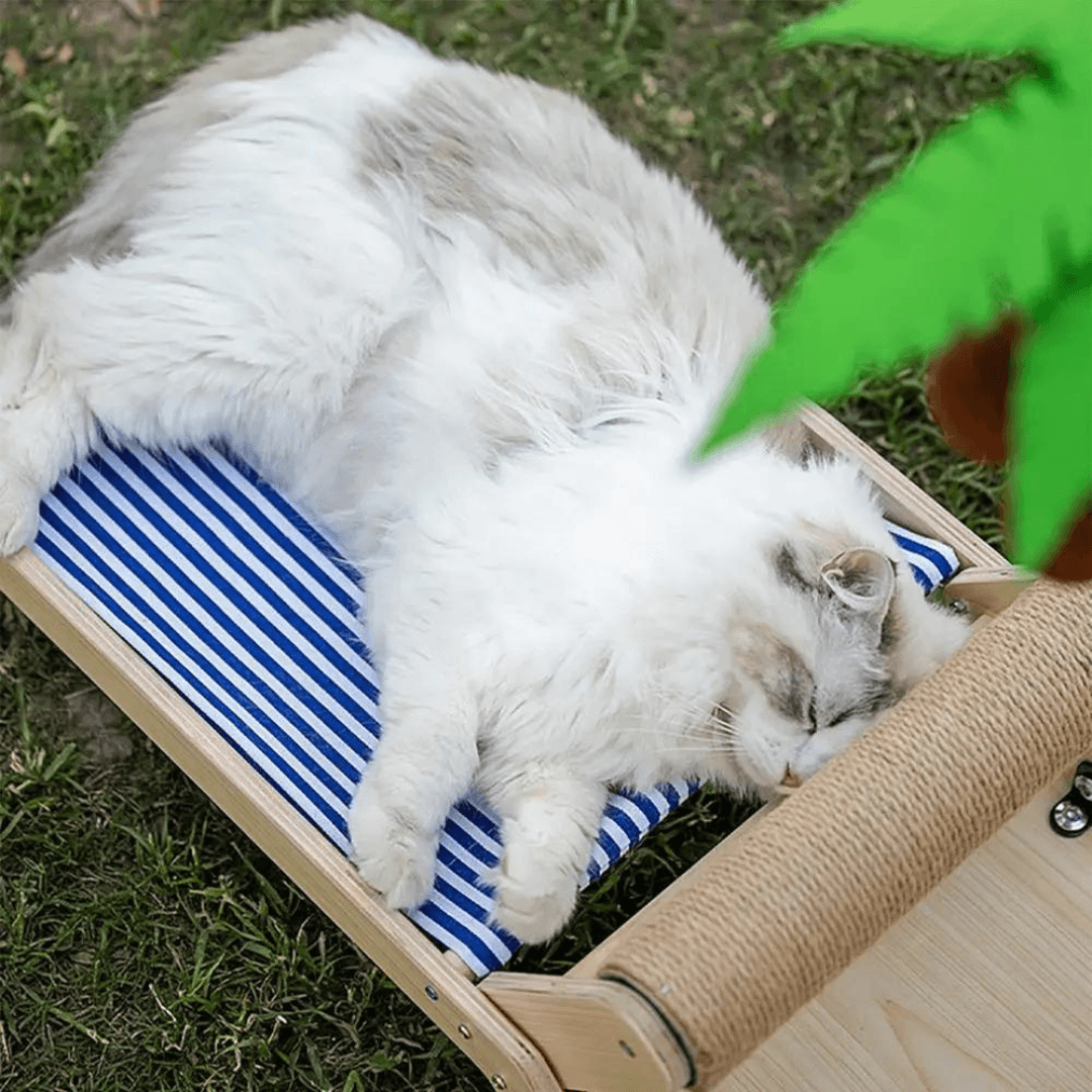 Paw Portal Tropikal Kedi Şezlongu - MeanYou