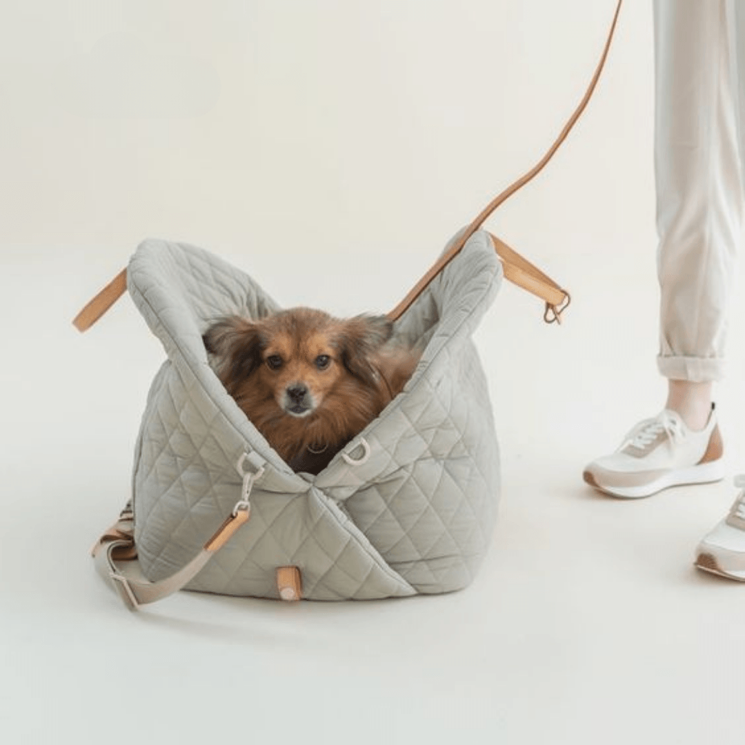 Paw Portal Yumuşak Kedi Köpek Taşıma Çantası - MeanYou