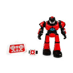 Nessiworld Remote Control Crazon Function Robot
